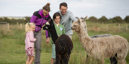 Farmyard friends: Brighten up your break with these family fun attractions