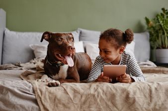Parents urged to be vigilant to keep children safe online this Christmas
