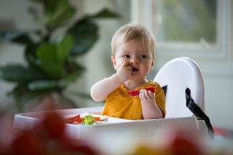 These are the nutrients your baby needs during weaning