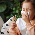 This Irish doctor has a natural remedy to soothe coughs