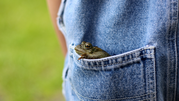 pockets