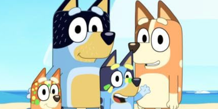 Special celebrity guests set to appear in Bluey spin-off series