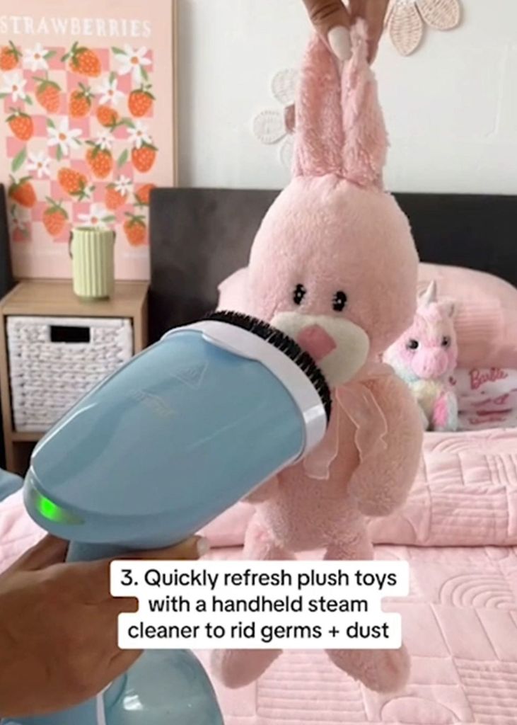 cleaning toys hack
