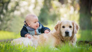 How to prepare your dog for welcoming a new baby