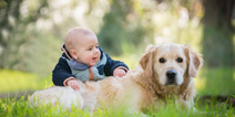 How to prepare your dog for welcoming a new baby