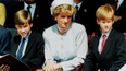 Prince Harry and William put rift aside to honour Princess Diana