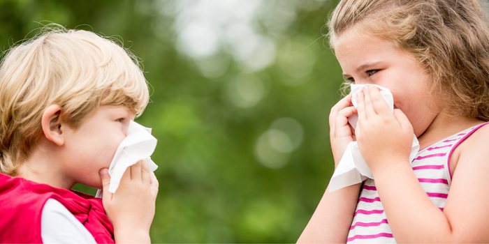 Hay Fever