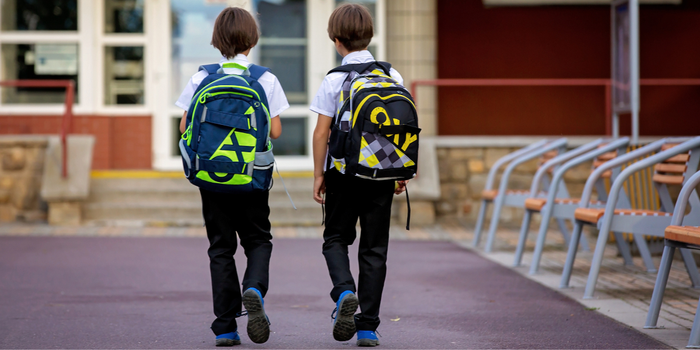 HSE, back to school advice