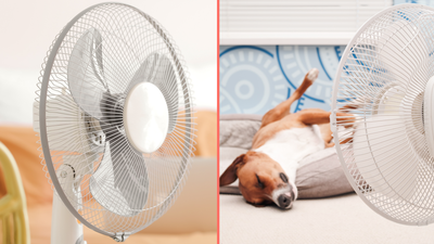 Sleeping with a fan on could be hazardous to your health