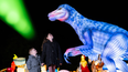 Dublin Zoo has revealed the theme for this year’s Wild Lights