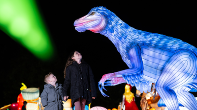 Dublin Zoo has revealed the theme for this year’s Wild Lights