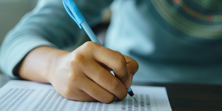 Number of pupils caught cheating on Leaving and Junior Cert doubles