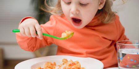 Experts express concerns about ‘ultra-processed’ hot school meals