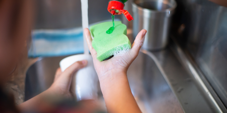 Homeowners told to make a ‘simple but important’ washing-up liquid switch