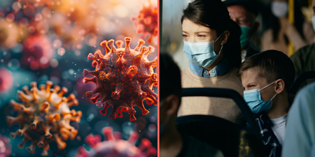 Scientist who predicted Covid says what source of next pandemic will be