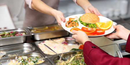 Minister McEntee welcomes new free meals programme for the summer holidays